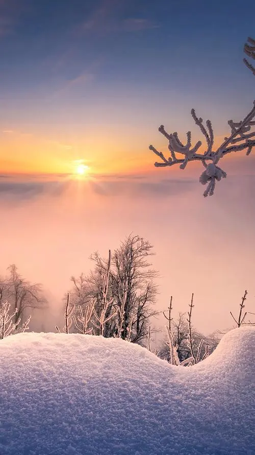 验证自动化storefront media-别删